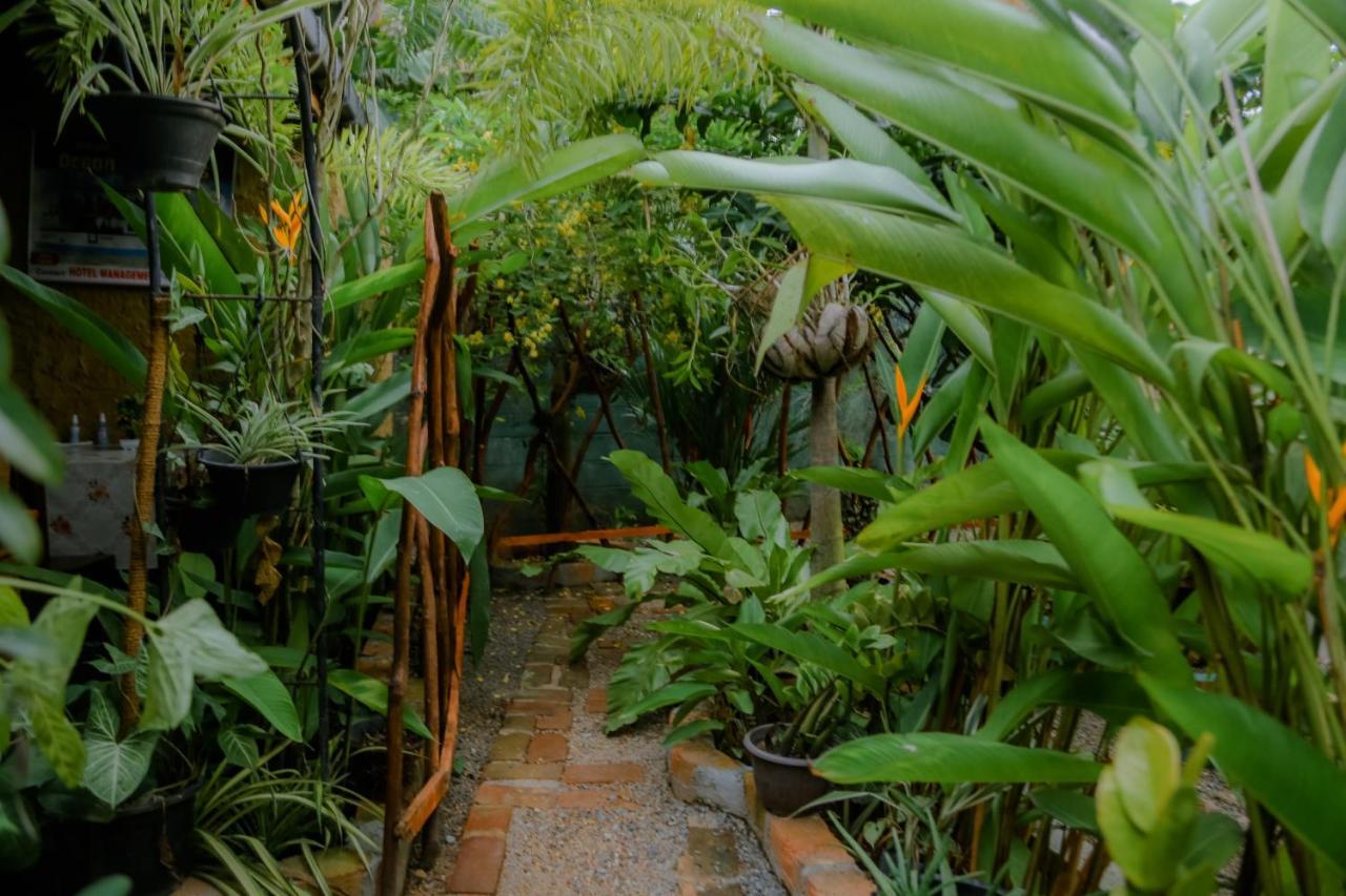 Ruwan Jungle Homestay Мириса Екстериор снимка
