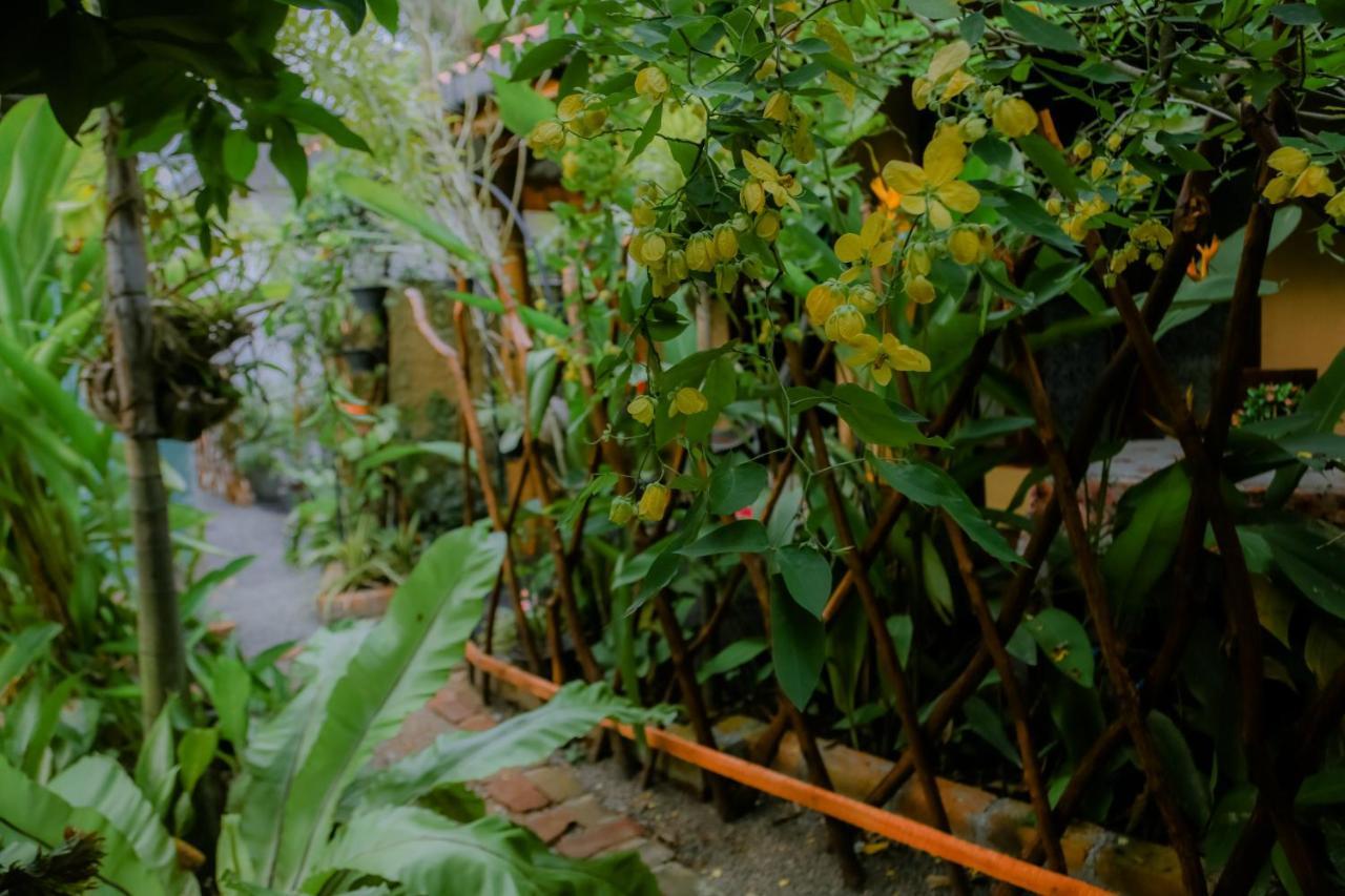 Ruwan Jungle Homestay Мириса Екстериор снимка