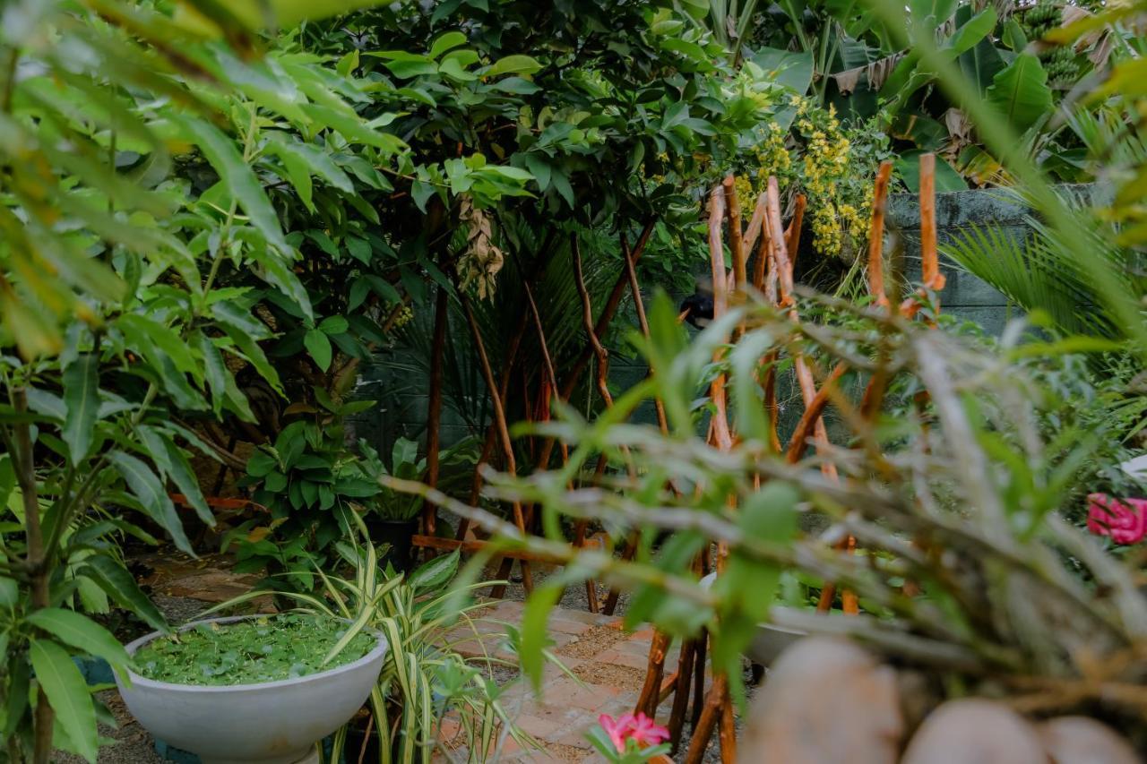 Ruwan Jungle Homestay Мириса Екстериор снимка
