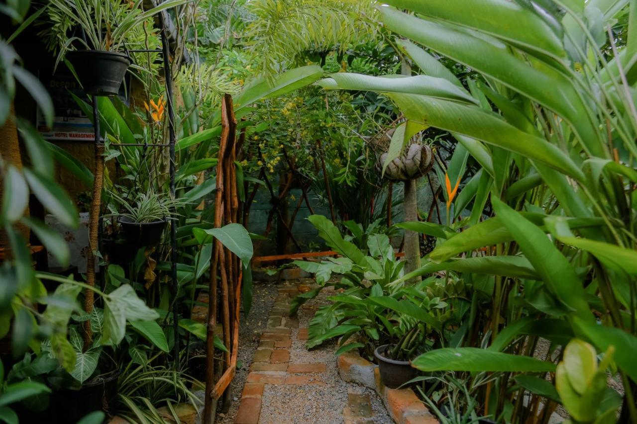 Ruwan Jungle Homestay Мириса Екстериор снимка