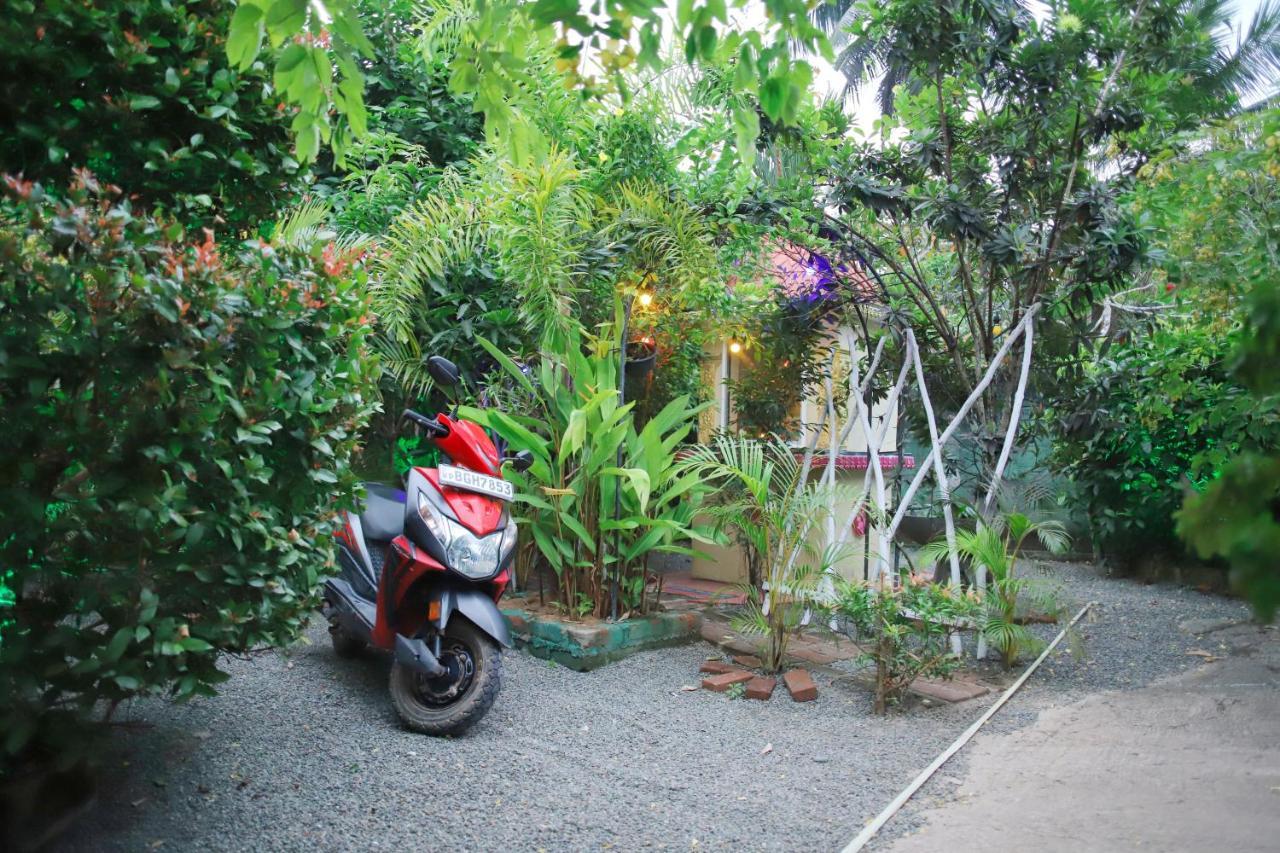Ruwan Jungle Homestay Мириса Екстериор снимка