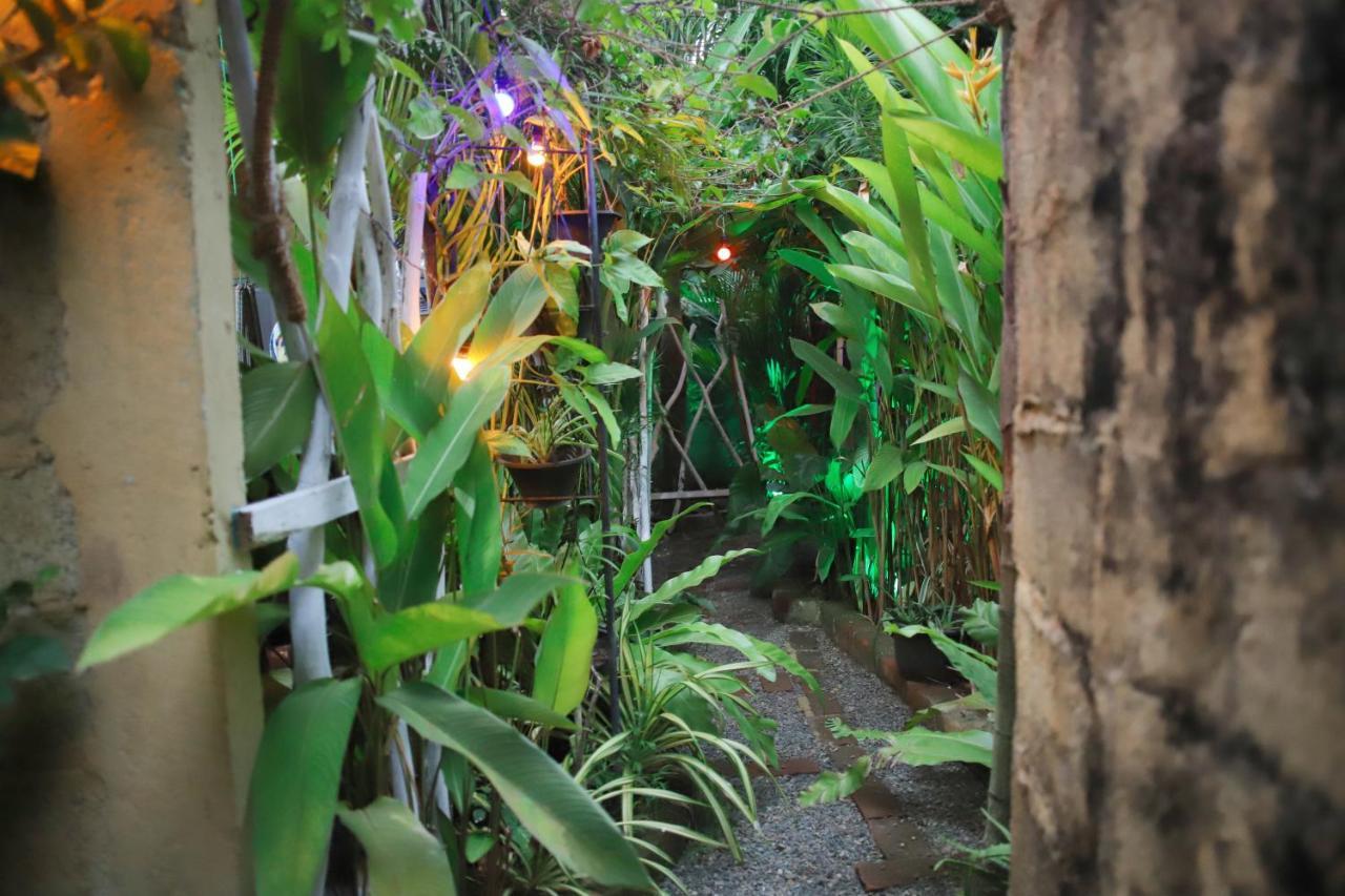 Ruwan Jungle Homestay Мириса Екстериор снимка
