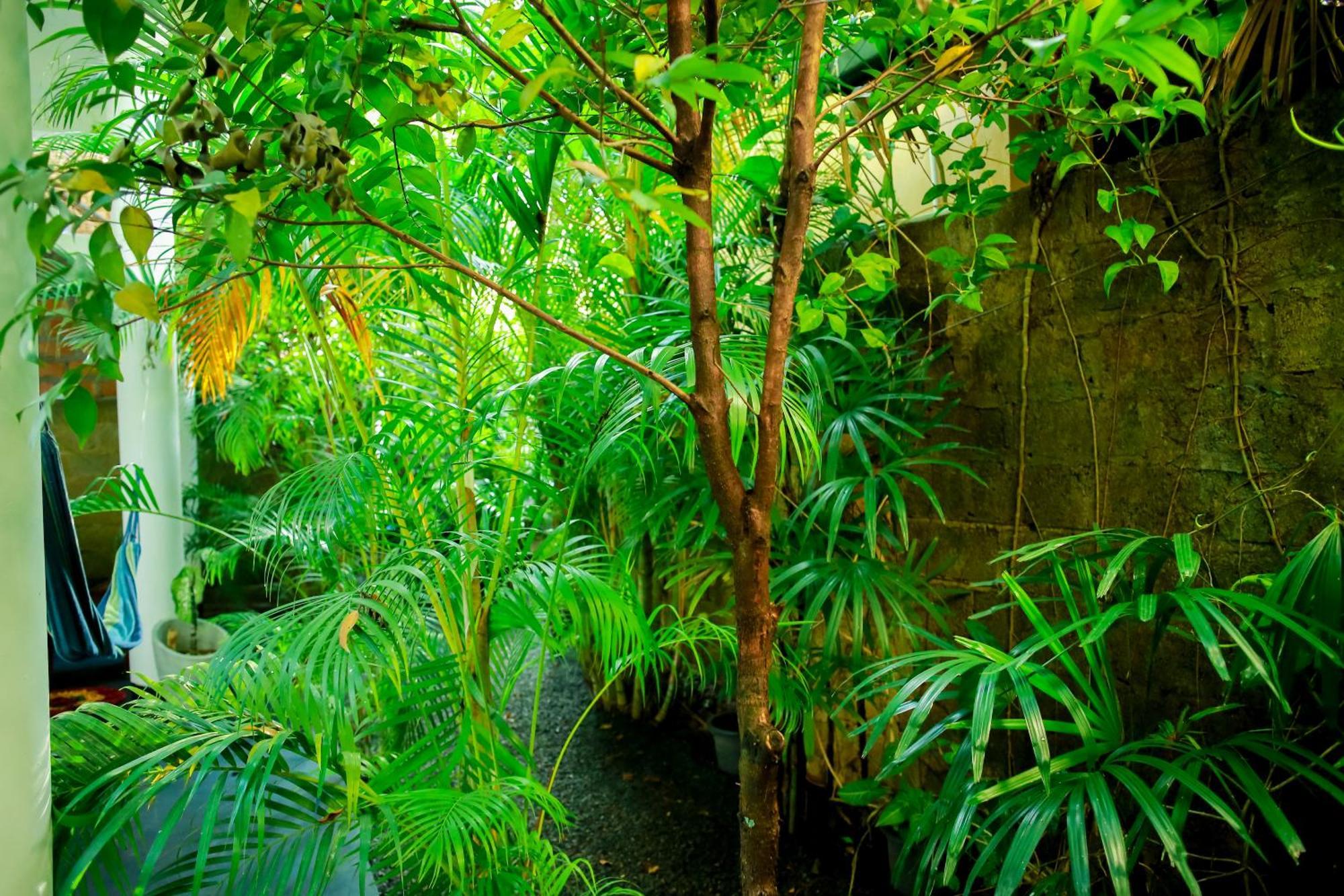 Ruwan Jungle Homestay Мириса Екстериор снимка