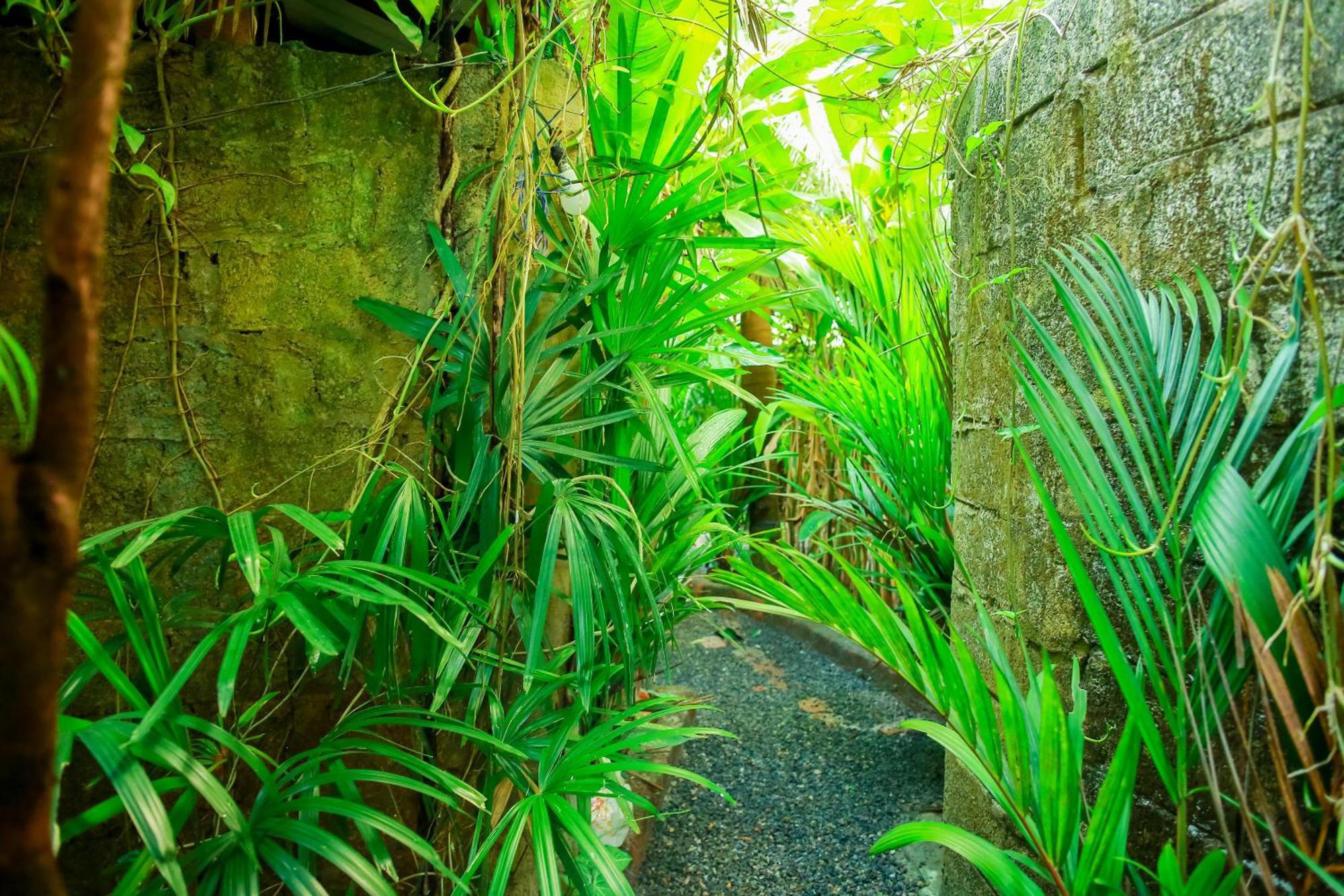 Ruwan Jungle Homestay Мириса Екстериор снимка
