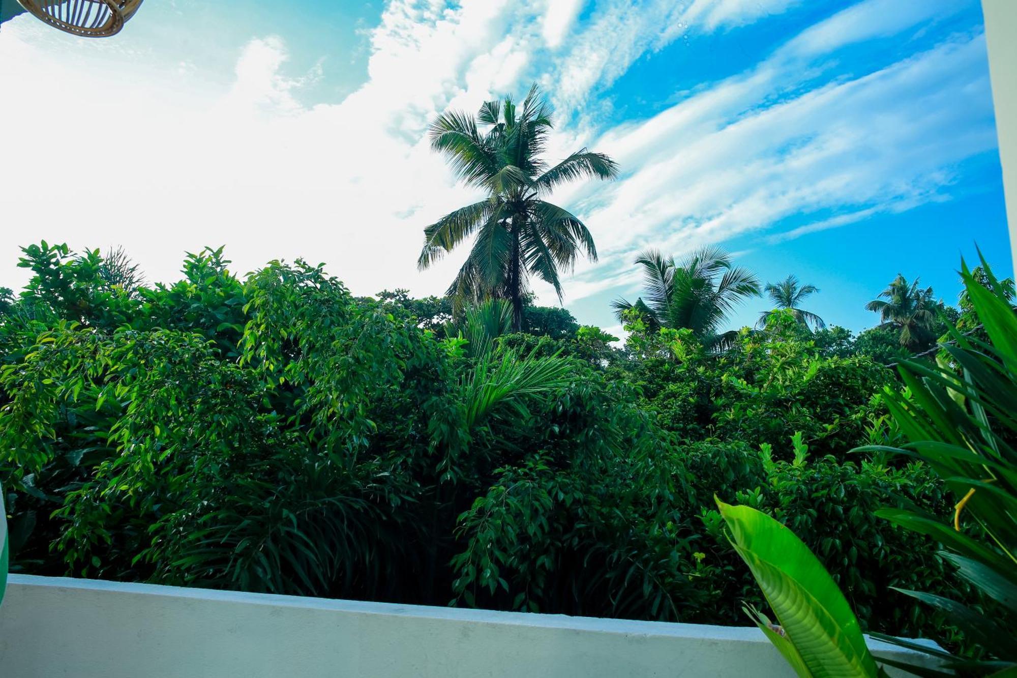 Ruwan Jungle Homestay Мириса Екстериор снимка
