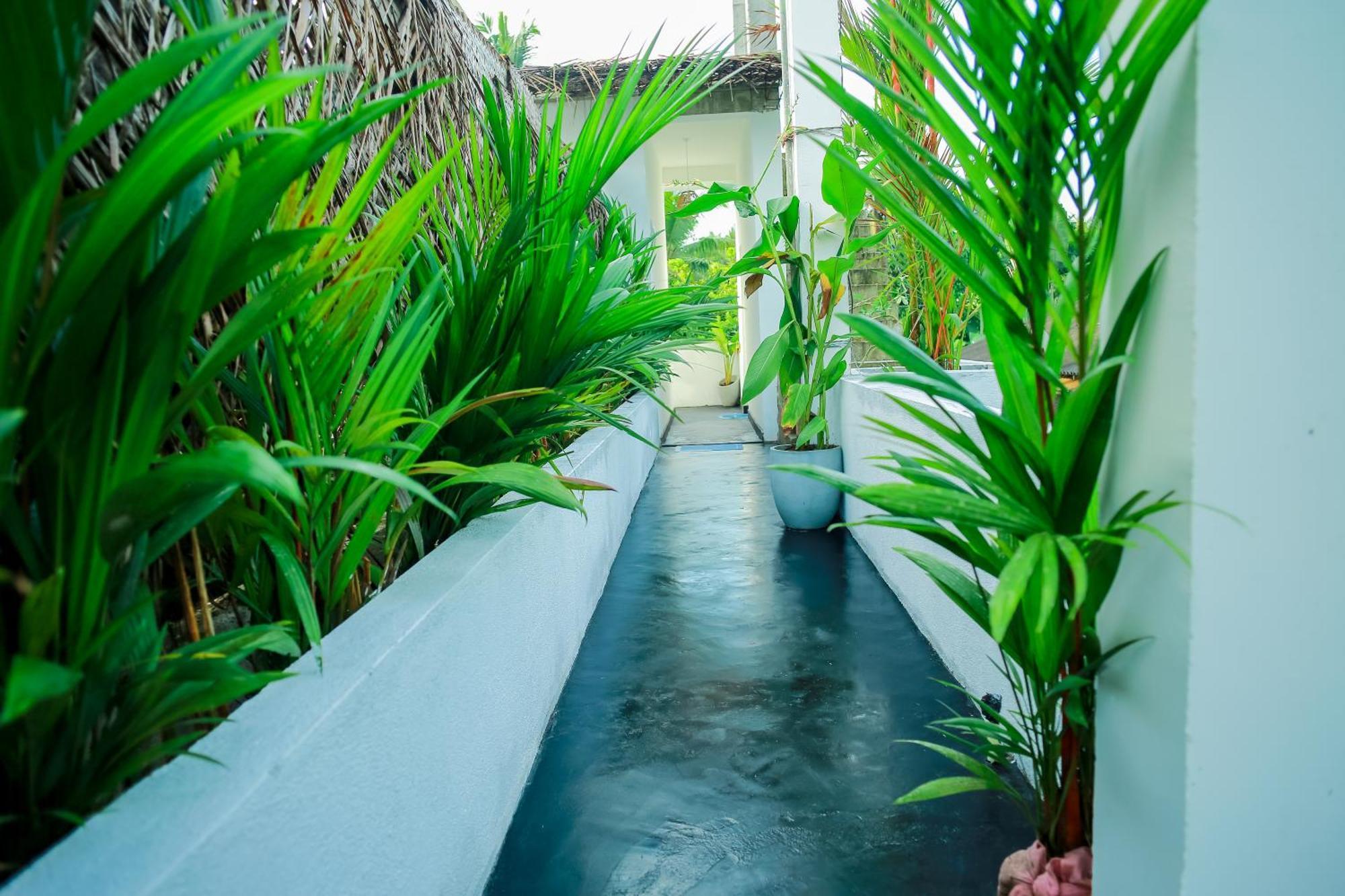 Ruwan Jungle Homestay Мириса Екстериор снимка