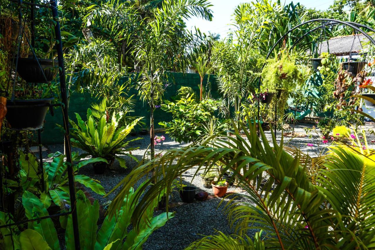 Ruwan Jungle Homestay Мириса Екстериор снимка